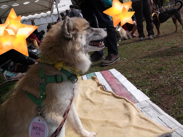 足立区生物園・いぬ親会～♪_a0322733_14391892.jpg