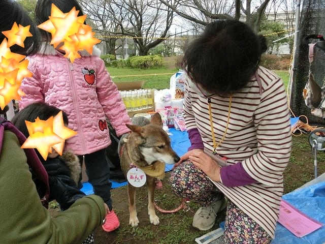 足立区生物園・いぬ親会～♪_a0322733_14395777.jpg