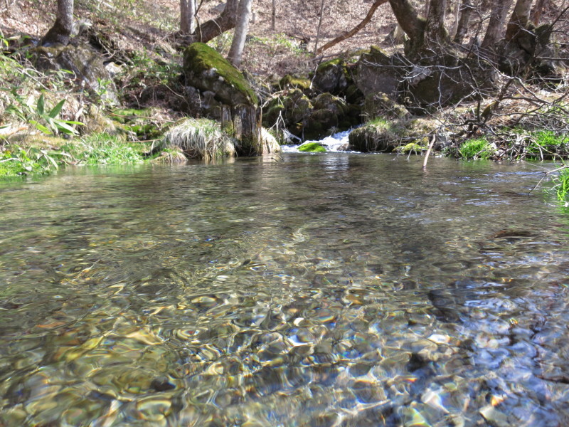 岩泉町の湧水めぐり ~豊かすぎる湧水の里・安家~_b0206037_18251388.jpg