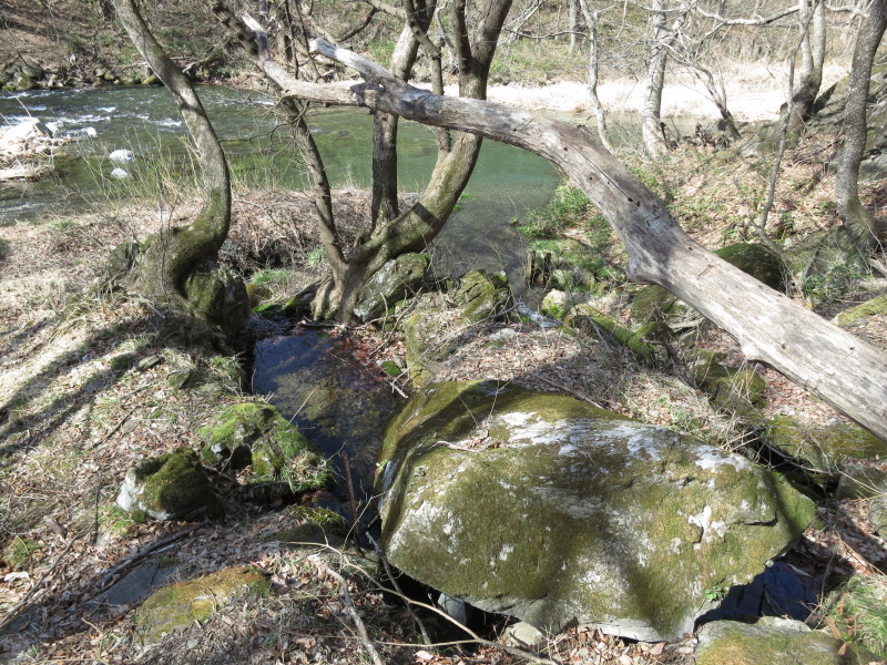 岩泉町の湧水めぐり ~豊かすぎる湧水の里・安家~_b0206037_18254415.jpg
