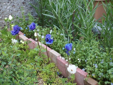 f0042637_16522818.jpg