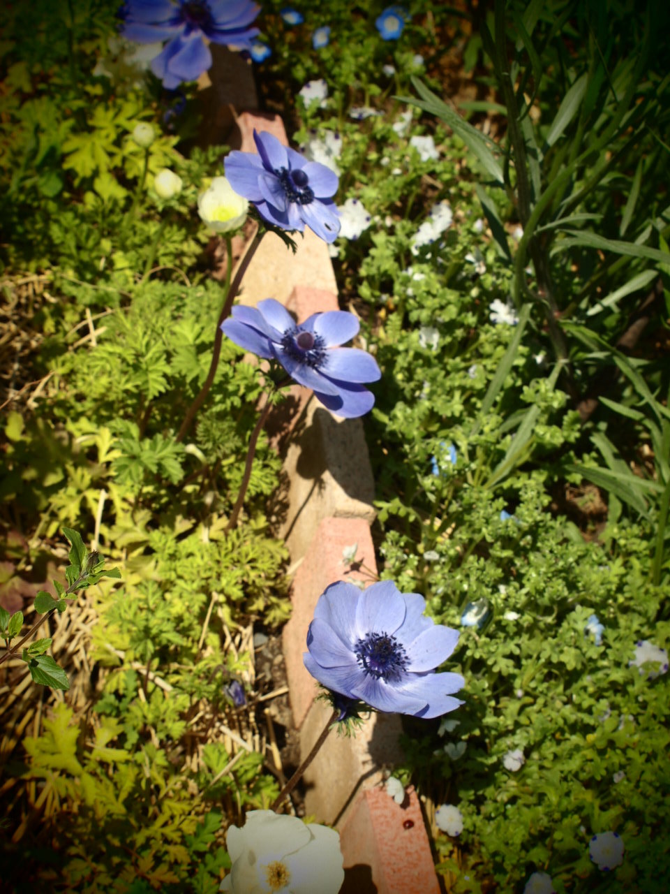 f0042637_16533467.jpg