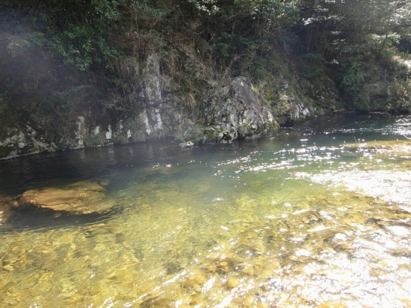 a0201743_06164096.jpg
