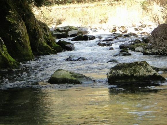 a0201743_06165824.jpg