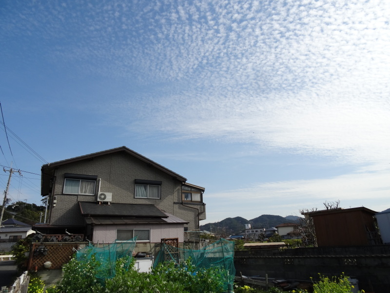c0108460_21405511.jpg