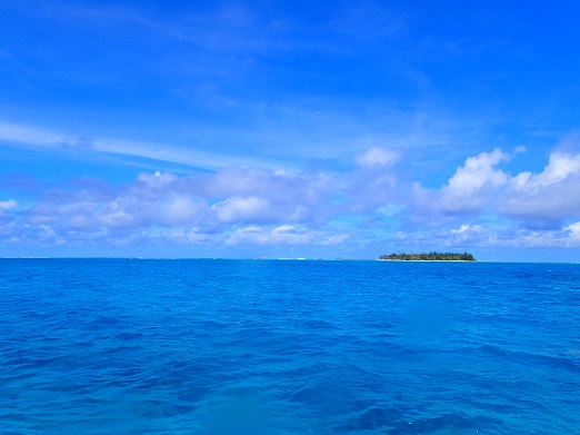 e0132965_14552386.jpg