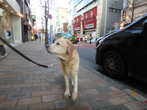 f0052277_3124948.jpg