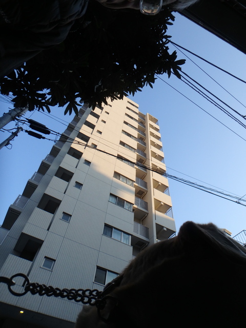 f0052277_383594.jpg