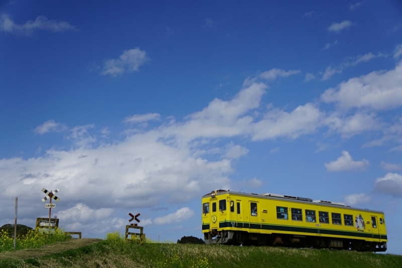 d0341483_06240930.jpg