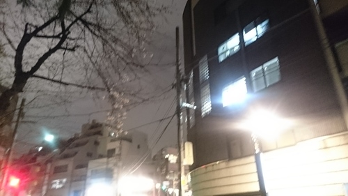 「街路灯」_a0075684_2085174.jpg