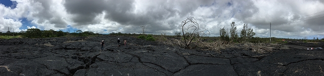 Pahoa Transfer Station_d0258487_8393731.jpg