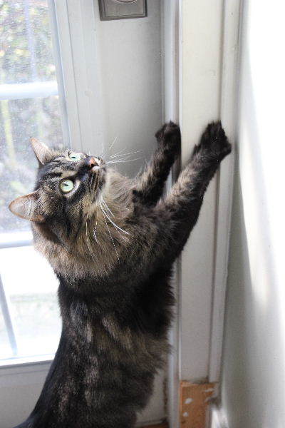 人気作家さん(桑原哲夫・典子）の陶芸作品を求めて、三千里