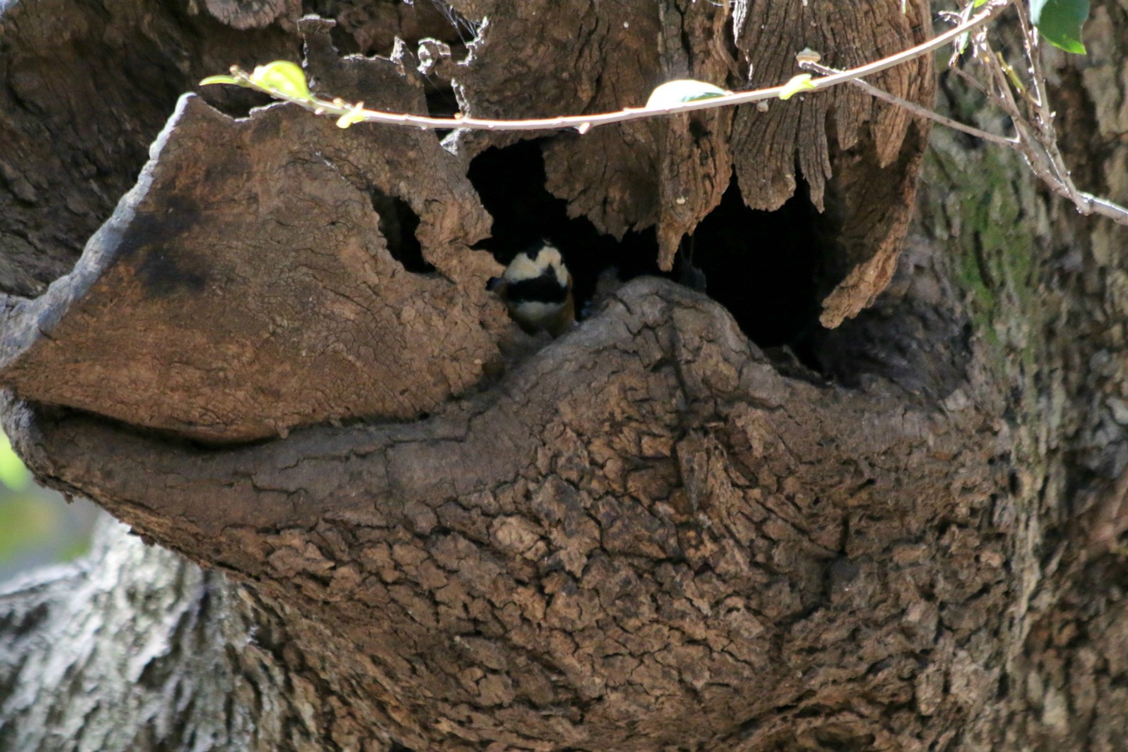 a0127090_21413929.jpg