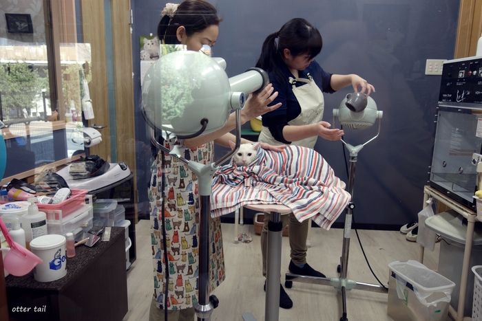 e0318091_2012253.jpg