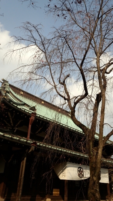 豪徳寺の桜とパン屋_d0334592_16380890.jpg