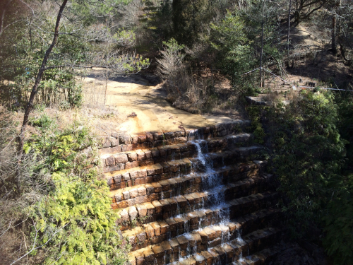 楽しい山登り♪_e0111793_22142210.jpg