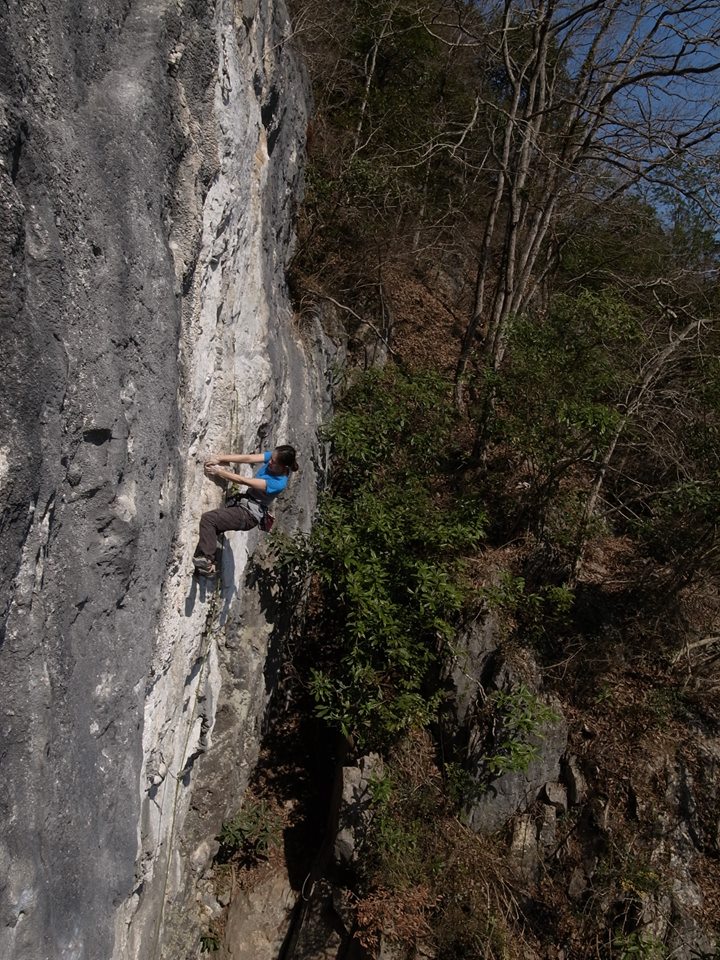 d0151699_027159.jpg
