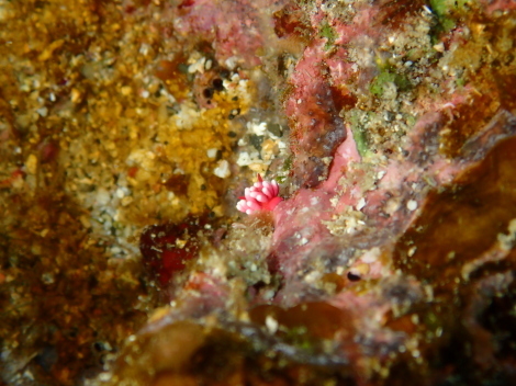 e0115199_15094708.jpg