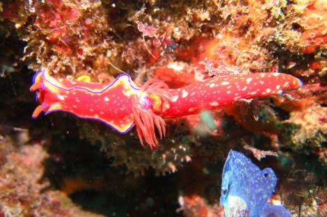 e0115199_15150178.jpg