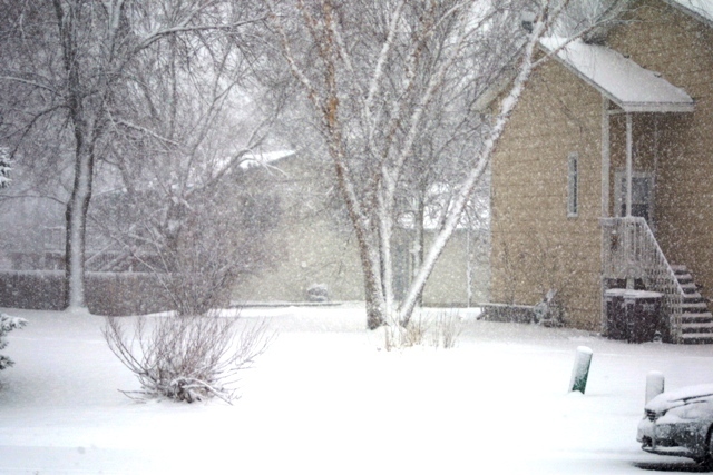 c0062603_12024021.jpg