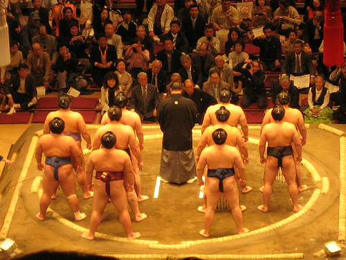 「大相撲は日本の雛形」：日本人が外人の「尻拭い」をする、１億総活躍社会！？_a0348309_9143270.jpg