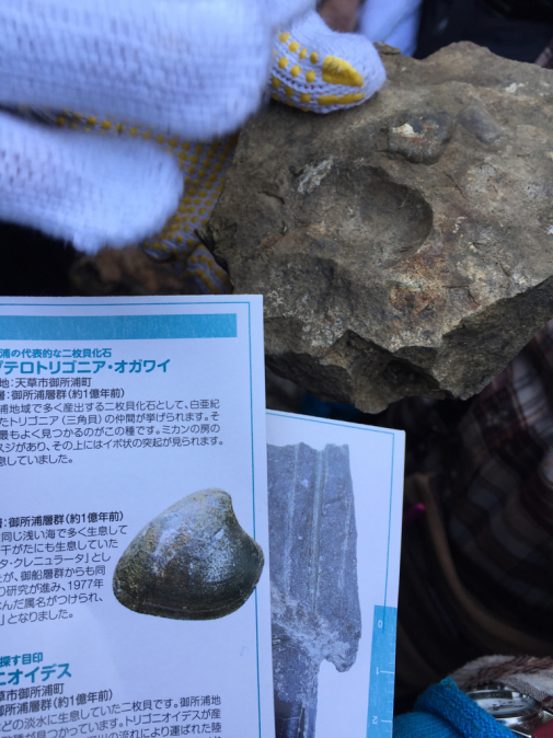 f0218012_20523621.jpg
