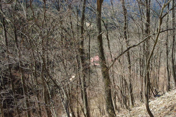 d0341514_21371055.jpg
