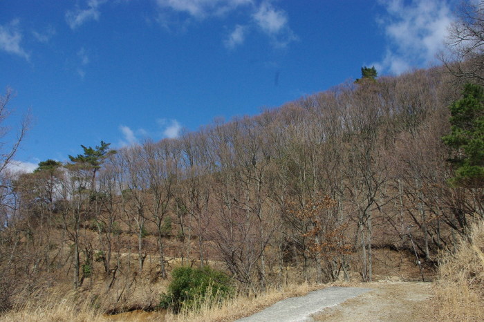 d0341514_21374226.jpg