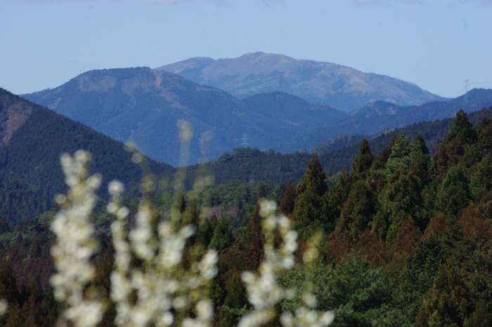 d0341514_21394938.jpg