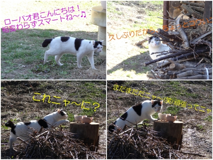 久しぶりのお山の陶芸教室♫ 2016年3月21日(月)_b0290816_16391786.jpg