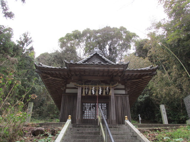 東大寺の菩提樹の　ナゾをなぞる旅の詩　3月24日（木）はれ_f0341616_19305994.jpg