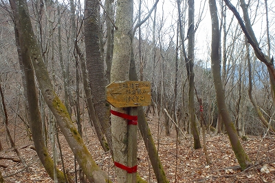 矢筈・遠見山～鴨猪林道終点～三方山_f0193521_18552233.jpg