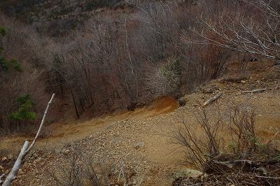 f0193521_20184920.jpg