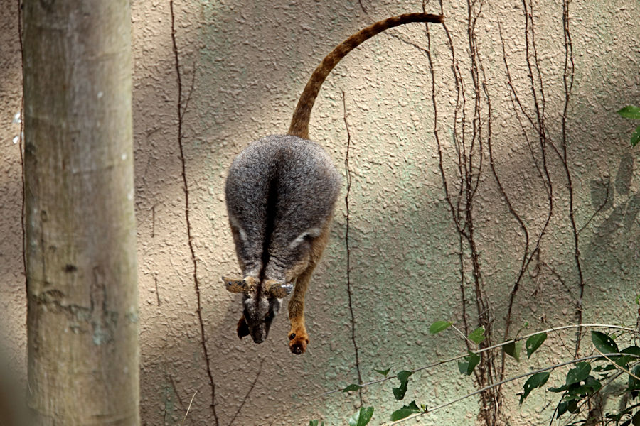 f0224624_1756409.jpg