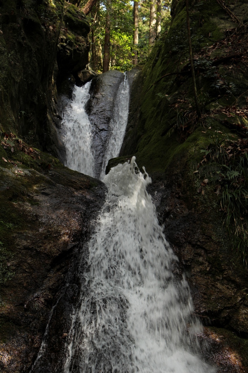 ▲3月の「月一山へ」報告_a0355629_23123611.jpg