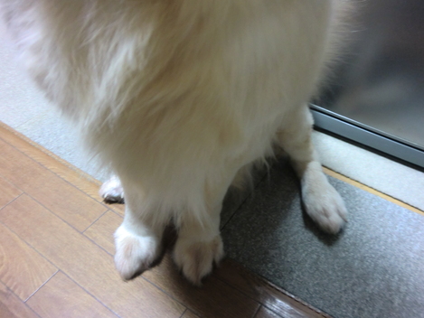 c0236632_814968.jpg