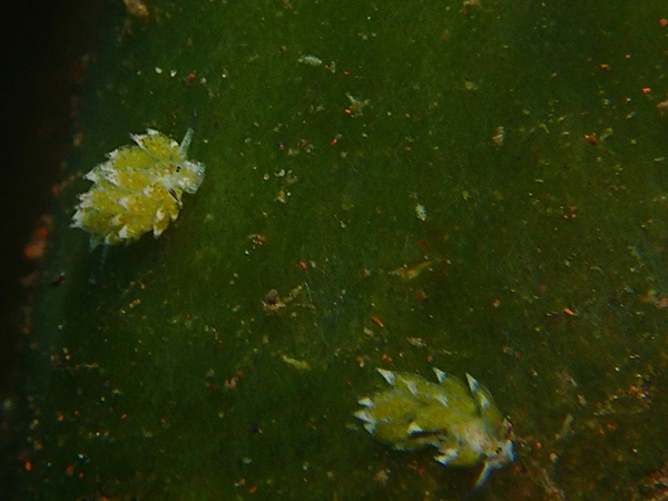 c0193735_14562289.jpg