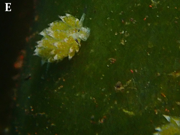 c0193735_14565066.jpg