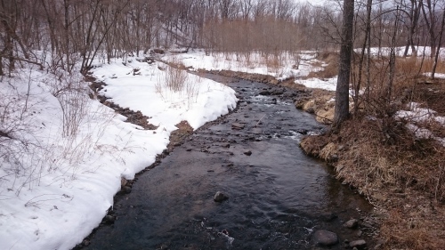 e0262235_11052344.jpg
