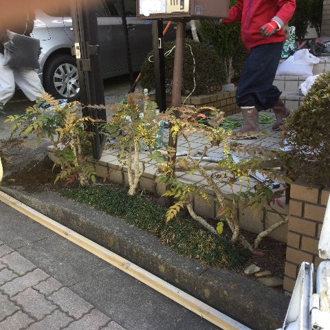 庭造り_f0031037_18461544.jpg