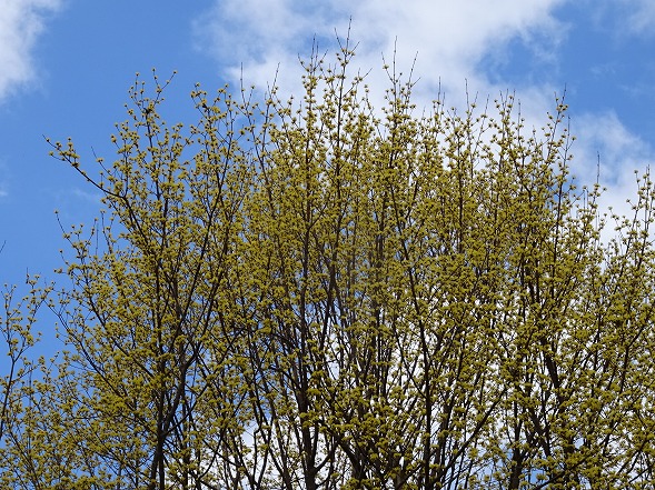 b0299042_9505160.jpg