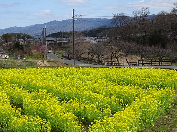 b0299042_9511057.jpg