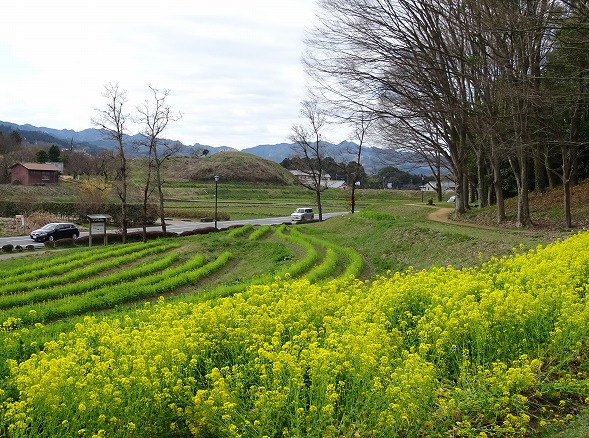b0299042_9511565.jpg