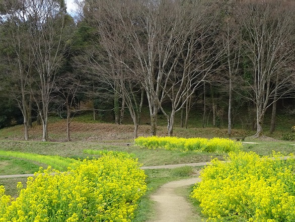 b0299042_9512294.jpg