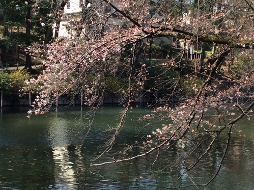 c0122744_0364017.jpg