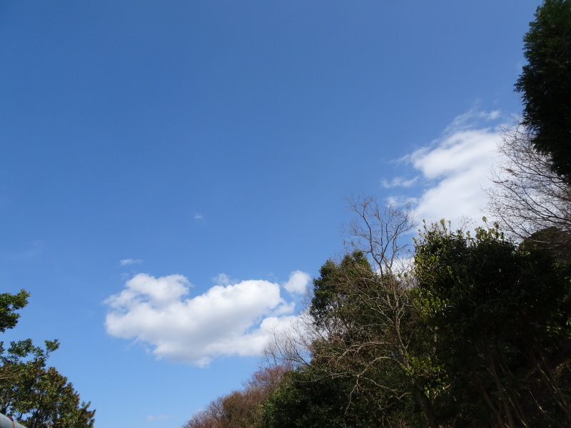 c0108460_21472798.jpg
