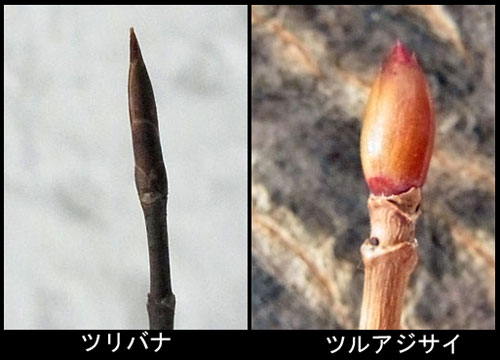 f0083977_710366.jpg