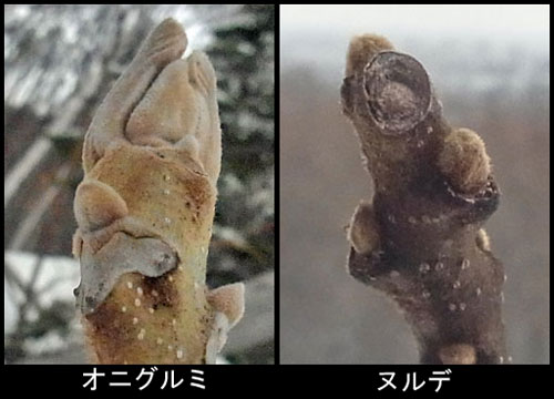 f0083977_782350.jpg