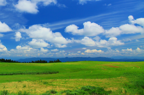 平和がやってくる!_c0023278_2465922.png