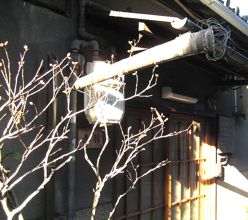 b0057679_947997.jpg